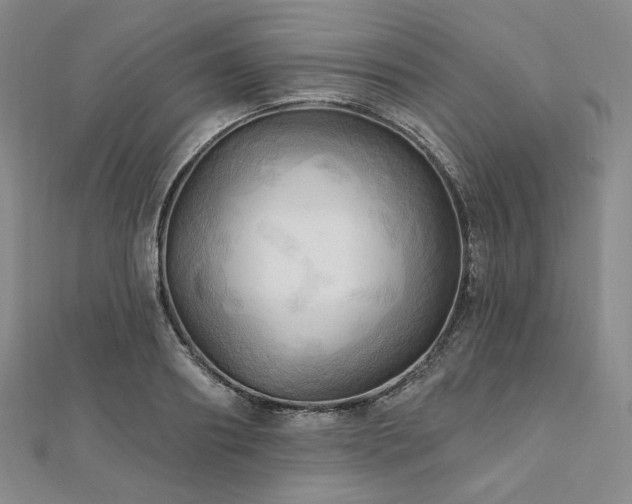 X0000112100890200908041509