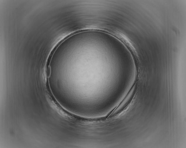 X0000112100892200908041509