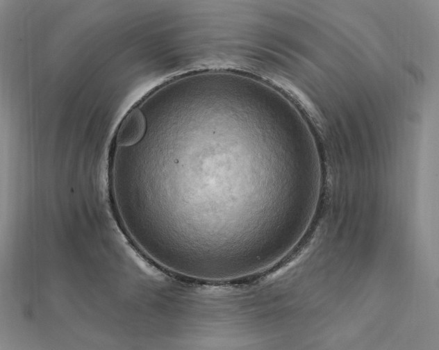 X0000112100894200908041508