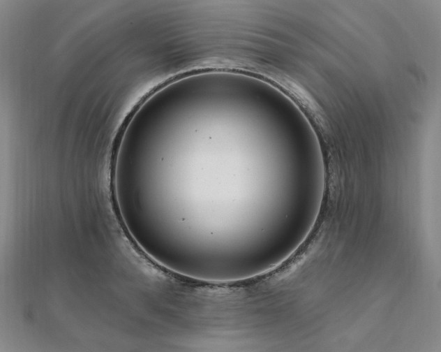 X0000112100896200908041508