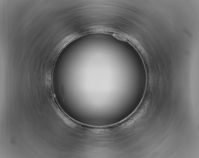 X0000112100897200908041508