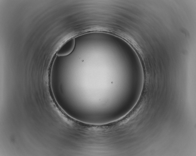 X0000112100898200908041508