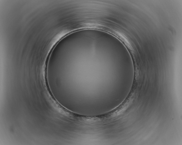 X0000112100899200908041508