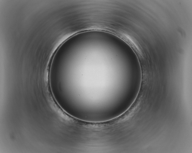 X0000112100900200908041508