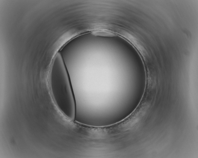 X0000112100901200908041508
