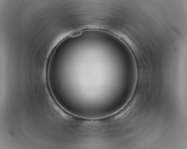 X0000112100902200908041508