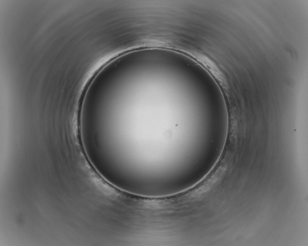 X0000112100904200908041508