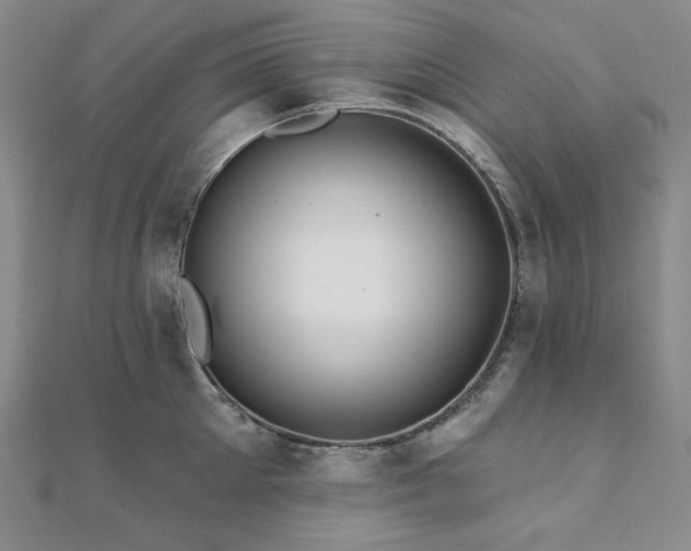 X0000112100905200908041508