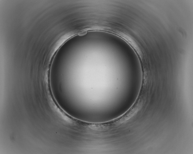 X0000112100906200908041508