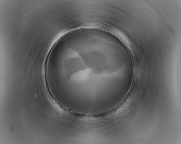 X0000112100907200908041508