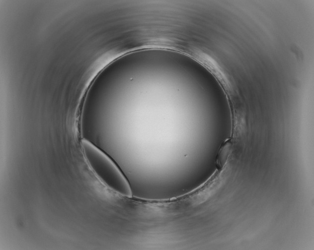 X0000112100908200908041508