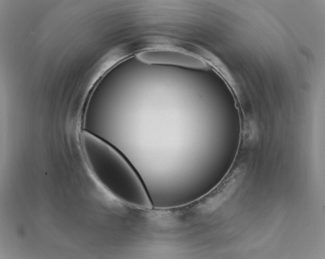 X0000112100909200908041508