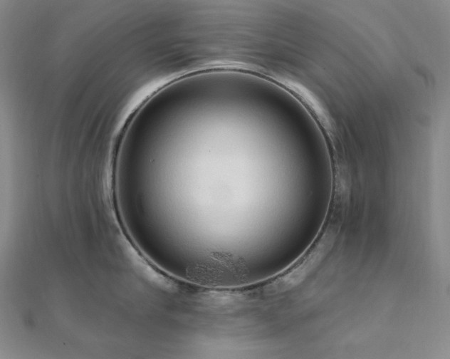 X0000112100910200908041508