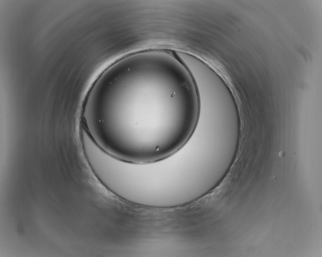 X0000112100912200908041508