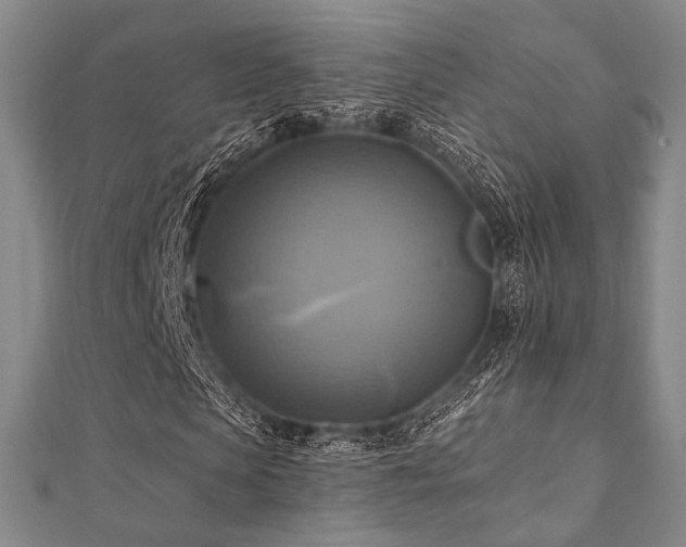 X0000112100913200908041508
