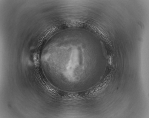 X0000112100915200908041508