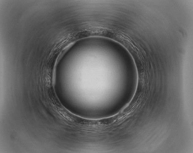 X0000112100916200908041508