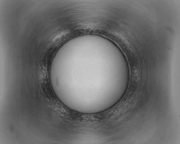X0000112100918200908041508
