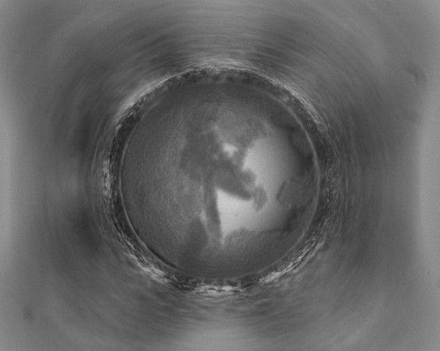X0000112100919200908041508