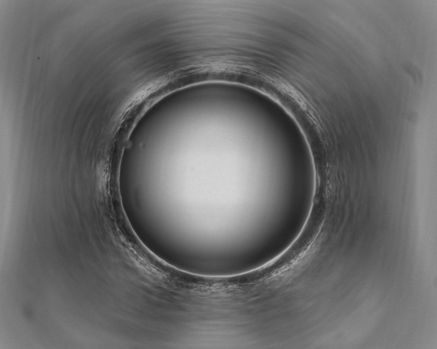 X0000112100922200908041508