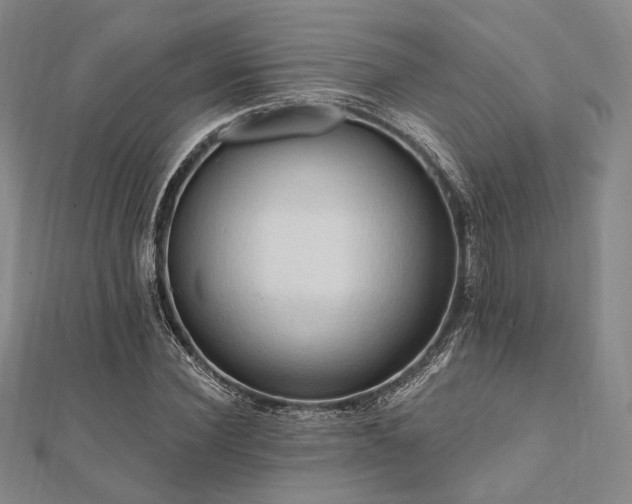 X0000112100924200908041508