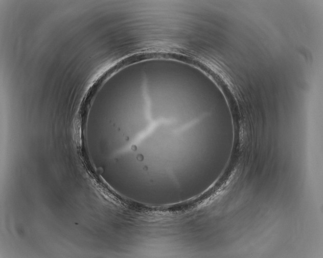 X0000112100925200908041508
