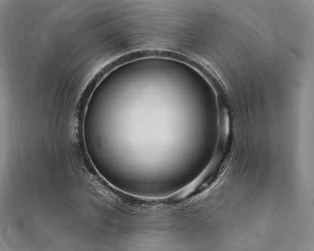 X0000112100926200908041508