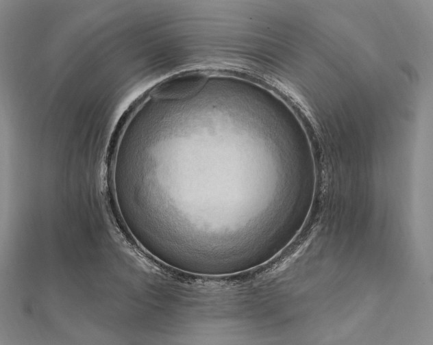 X0000112100928200908041508