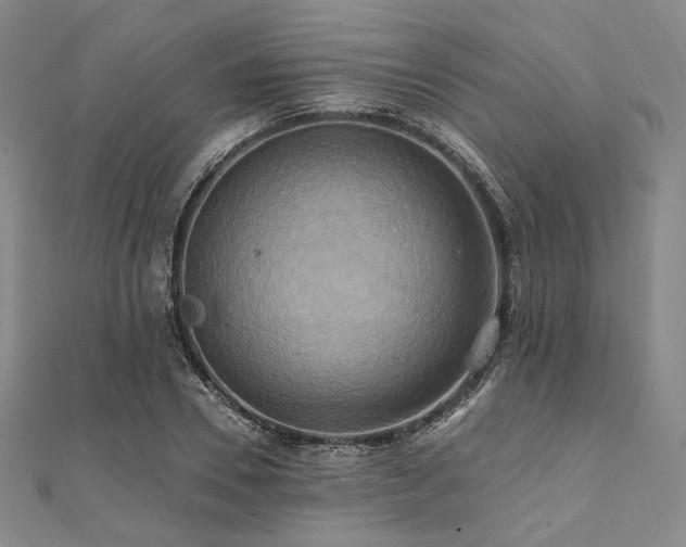 X0000112100930200908041508