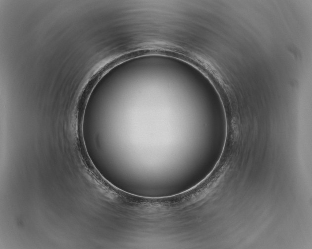 X0000112100931200908041508