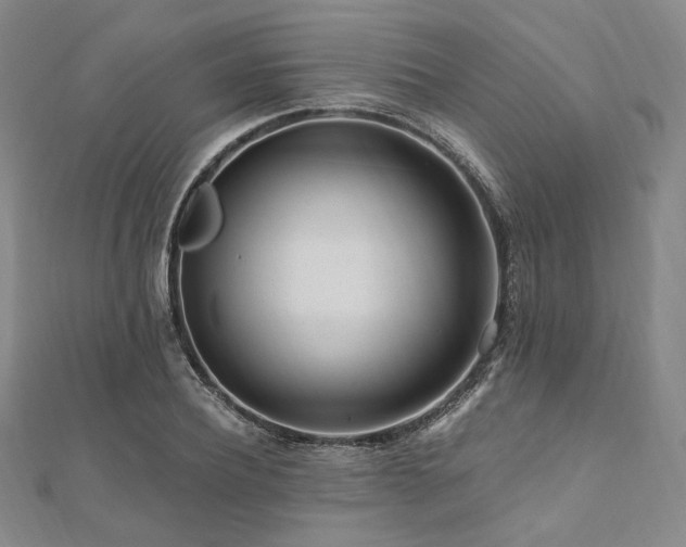 X0000112100932200908041508