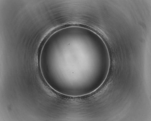 X0000112100934200908041508