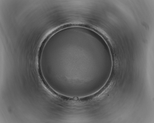 X0000112100935200908041508