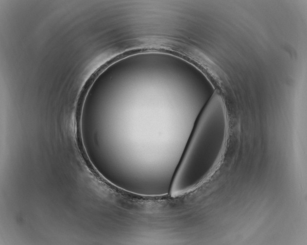 X0000112100936200908041508