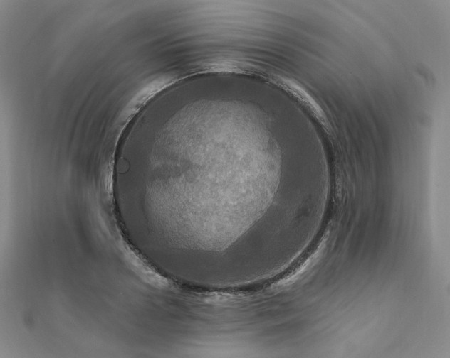 X0000112100938200908041508
