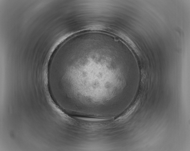 X0000112100939200908041508
