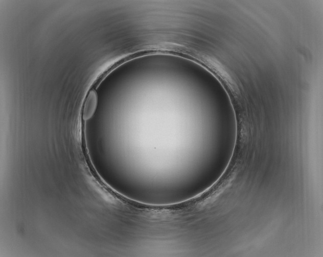 X0000112100940200908041508