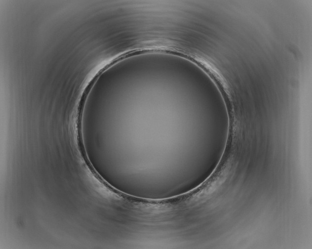X0000112100941200908041508