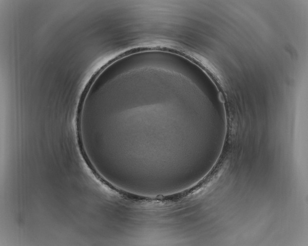 X0000112100943200908041508