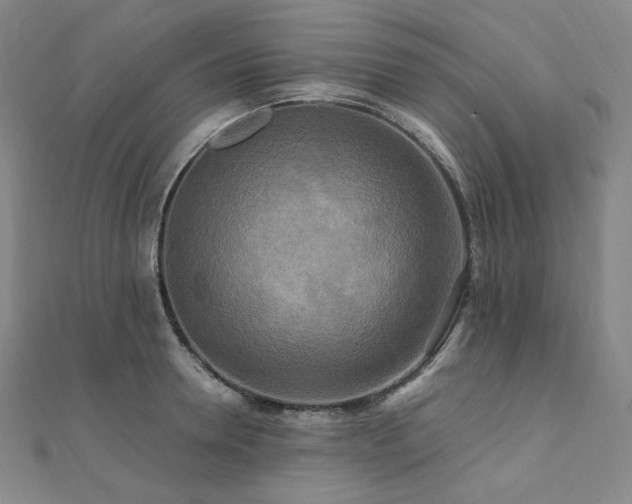 X0000112100946200908041508