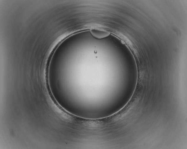 X0000112100947200908041508