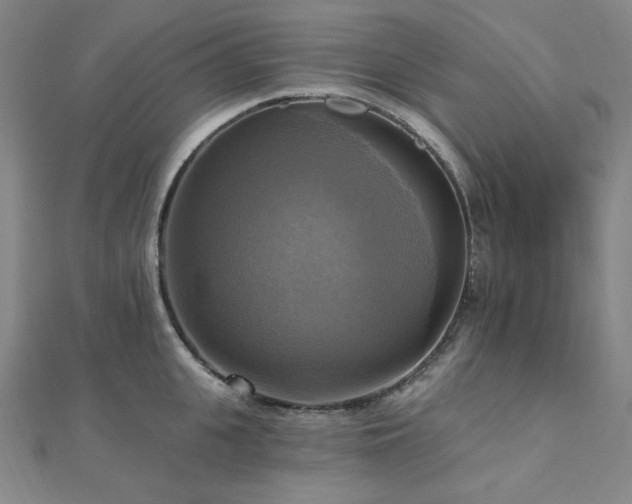 X0000112100951200908041508