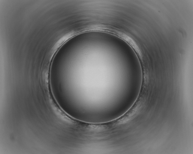 X0000112100954200908041508