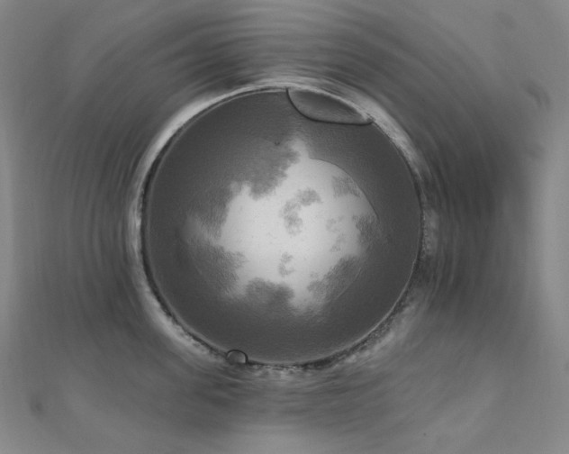 X0000112100955200908041508