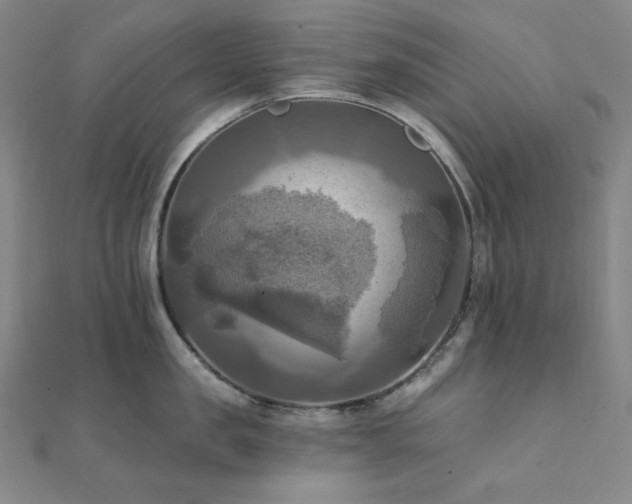 X0000112100957200908041508