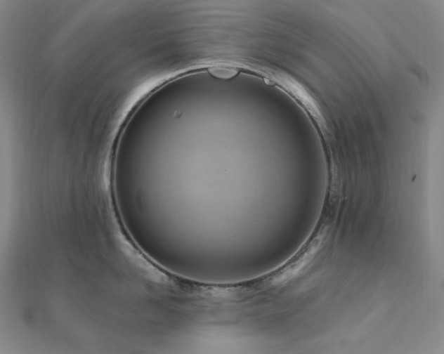 X0000112100958200908041508