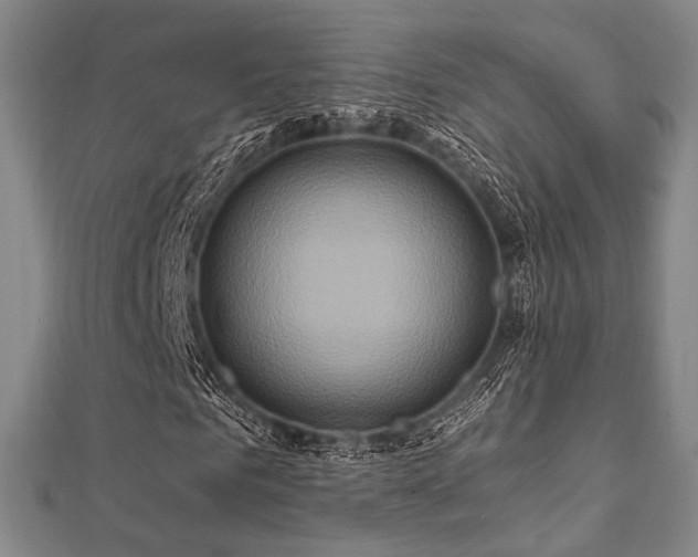 X0000112100961200908041508