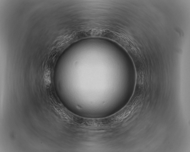 X0000112100962200908041508
