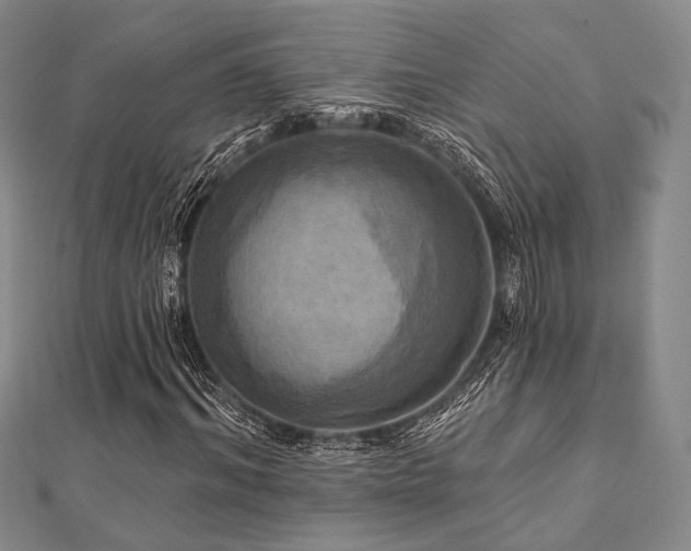 X0000112100964200908041508
