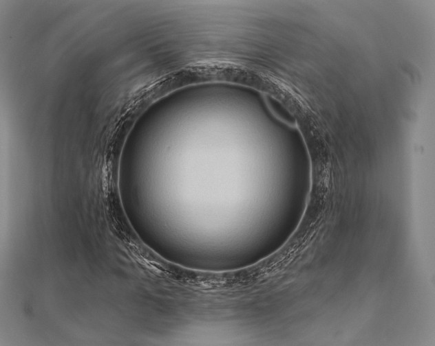 X0000112100965200908041508